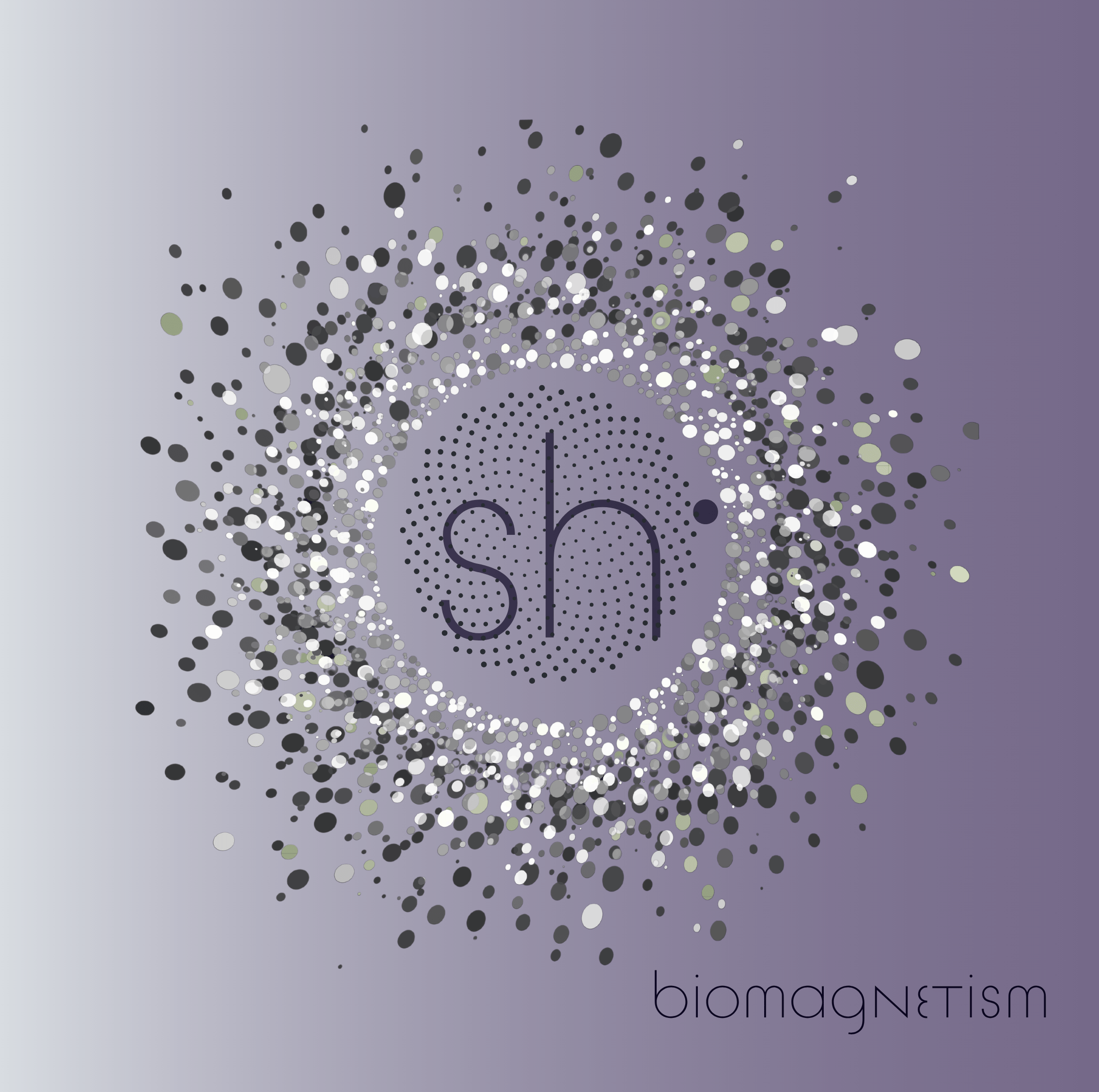 Sh Biomagnetismo