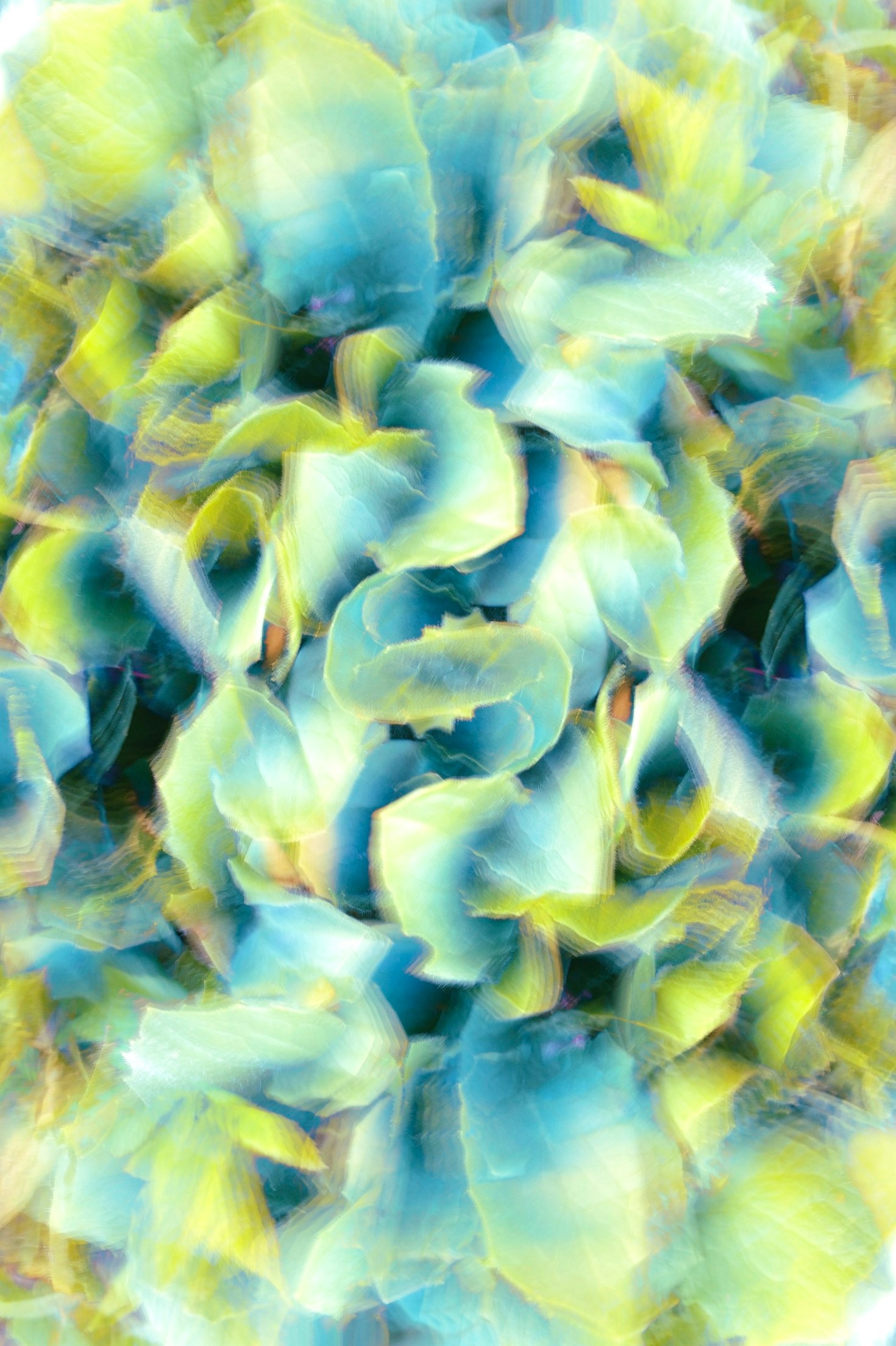How Biomagnetism Benefits Your Health